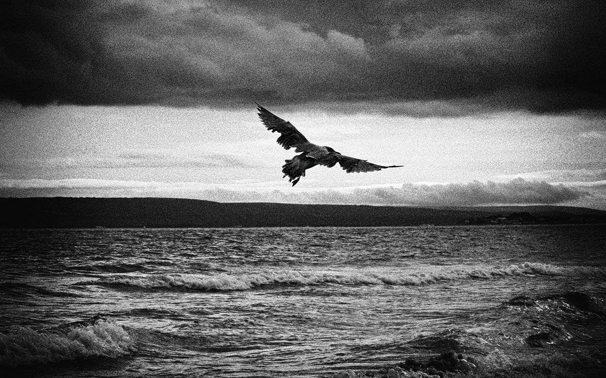 , Елена Лаврова