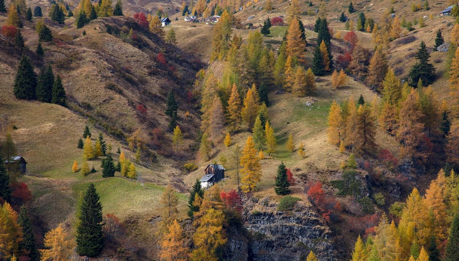 , Игорь Дубровский