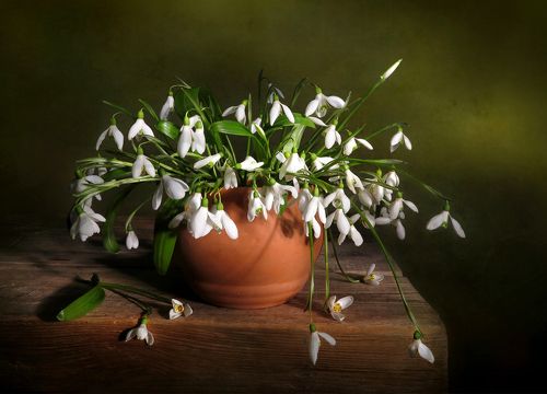 Подснежники