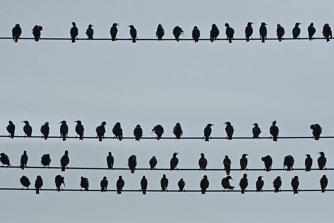 , Качурин Алексей