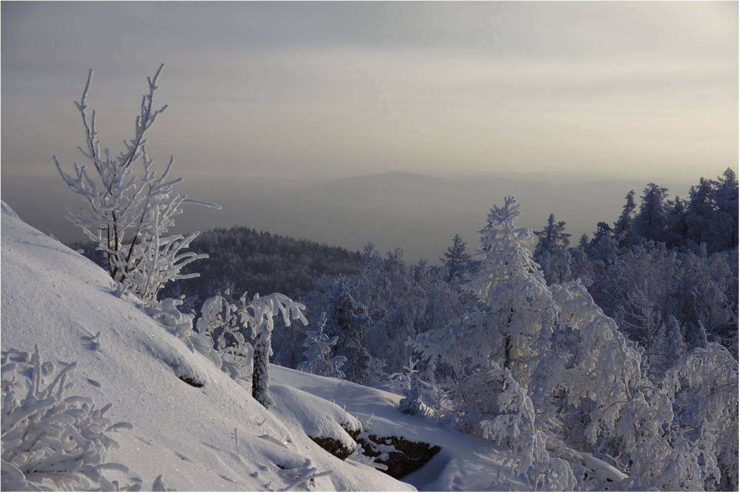 , Кондратьев Алексей