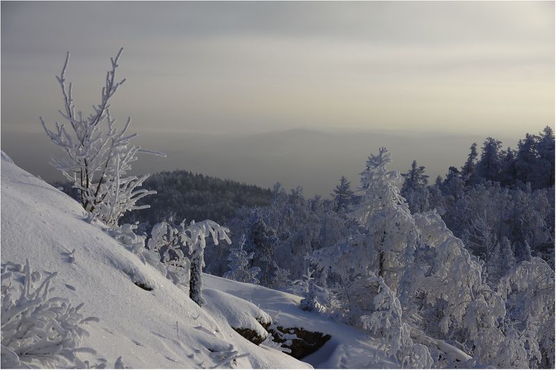 Дали туманные... фото превью