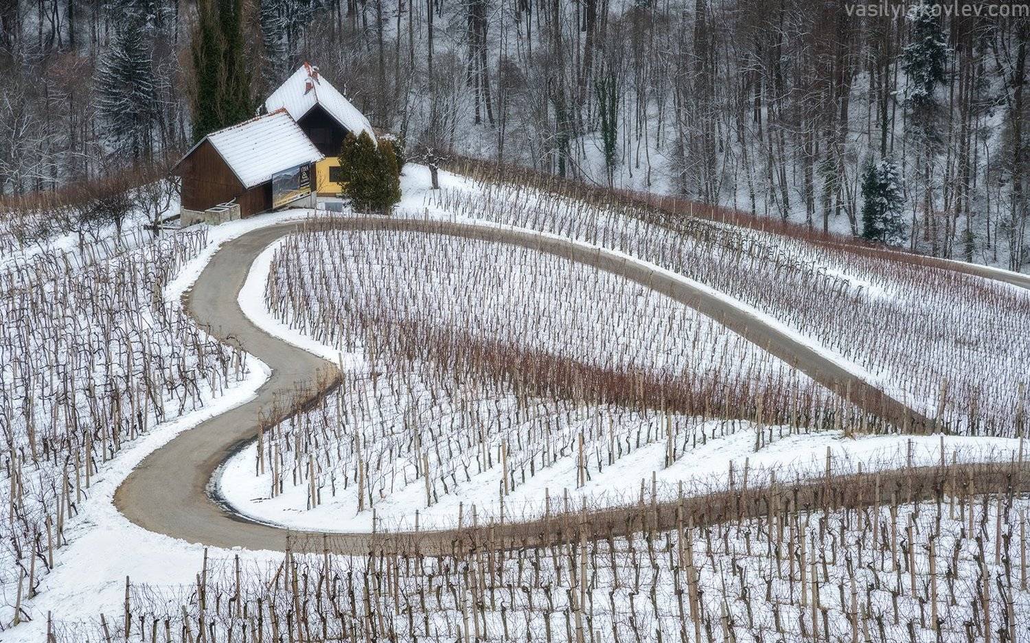 день, св, валентина, словения, Василий Яковлев