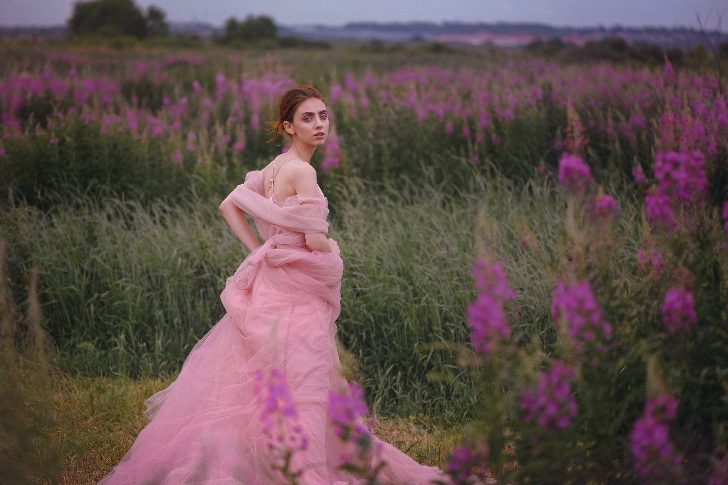 , Анастасия Добровольская