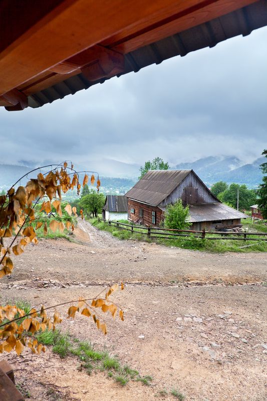 * * * фото превью