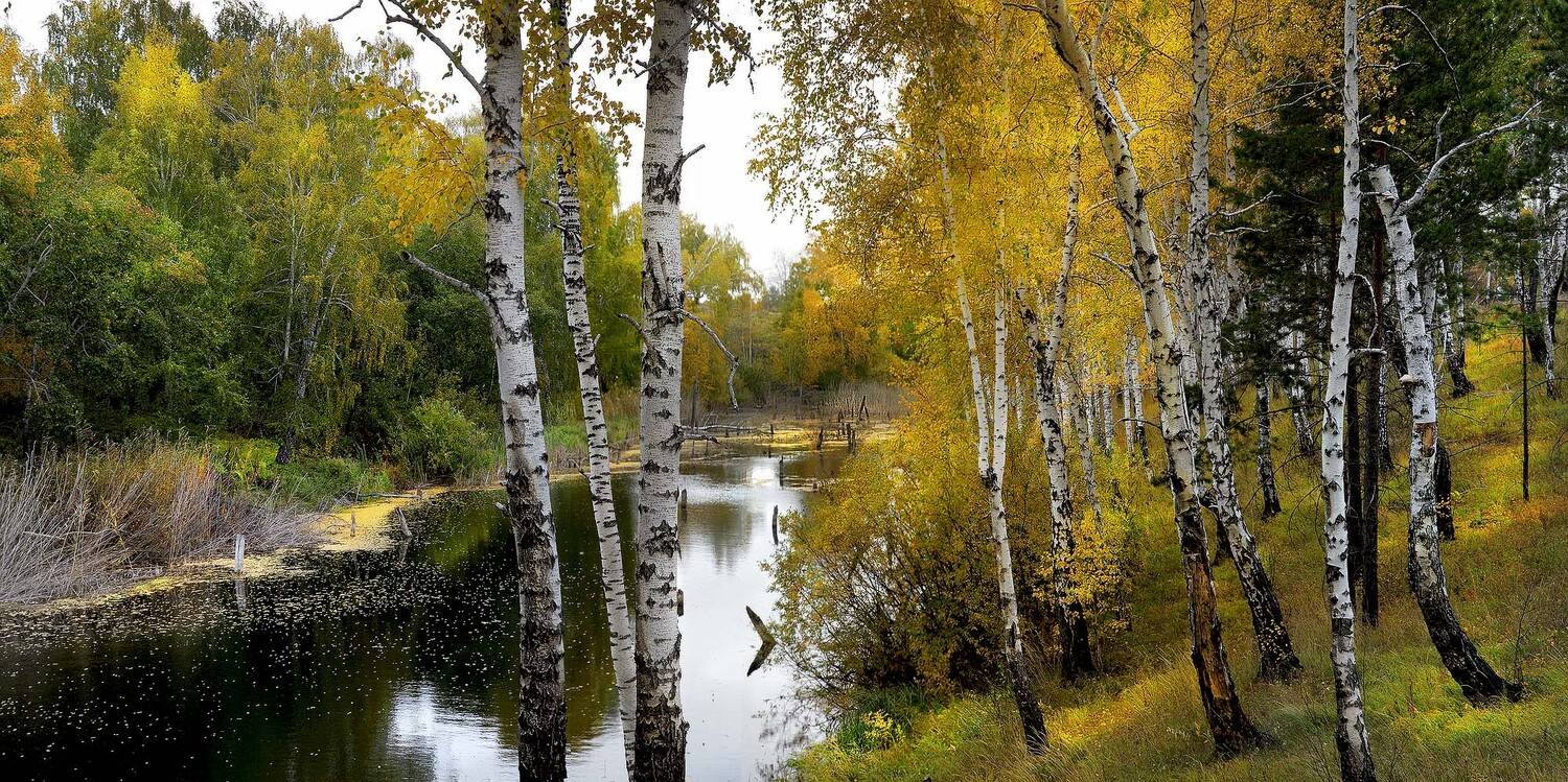 , Бусыгин Борис