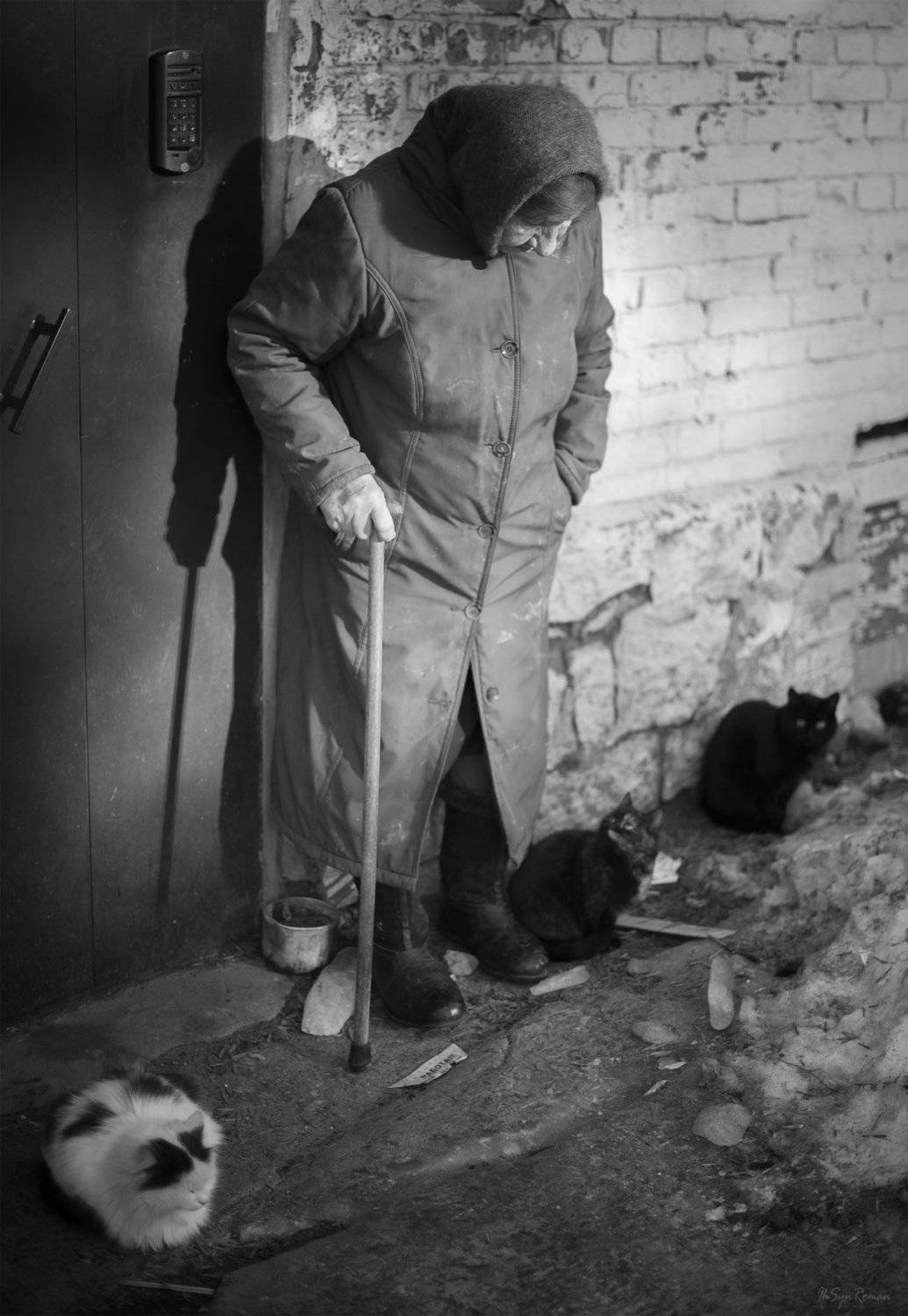 женщина,жанр,улица,дом, подъезд, коты, Roma  Chitinskiy