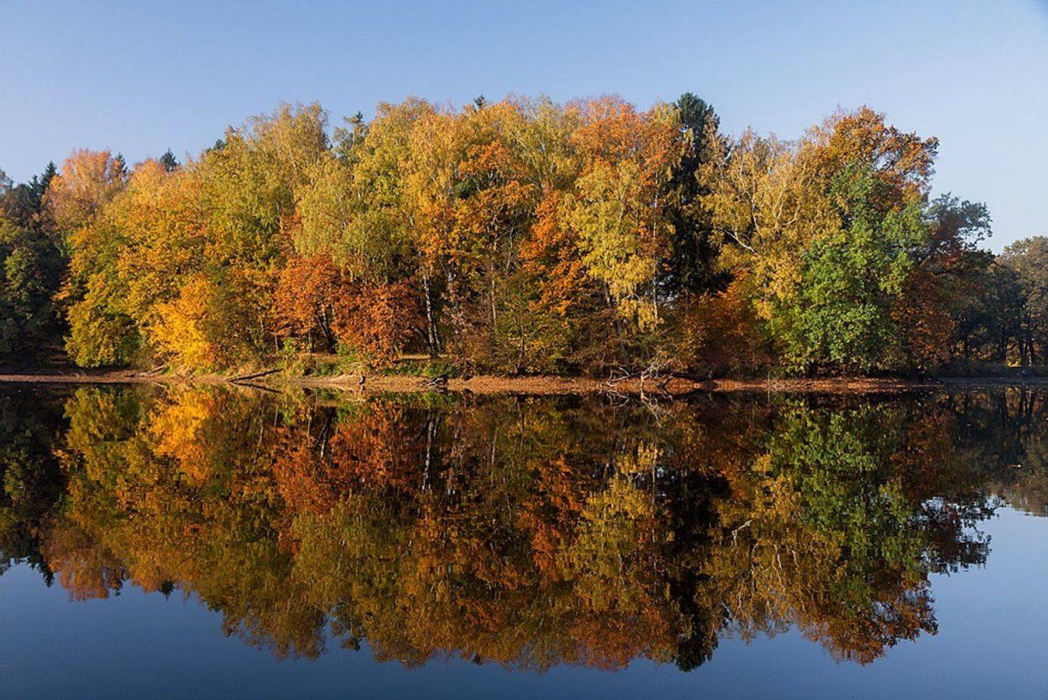 , Геннадий Новов