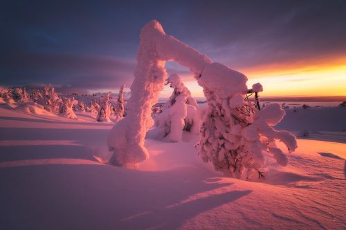 Краски Кольского полуострова