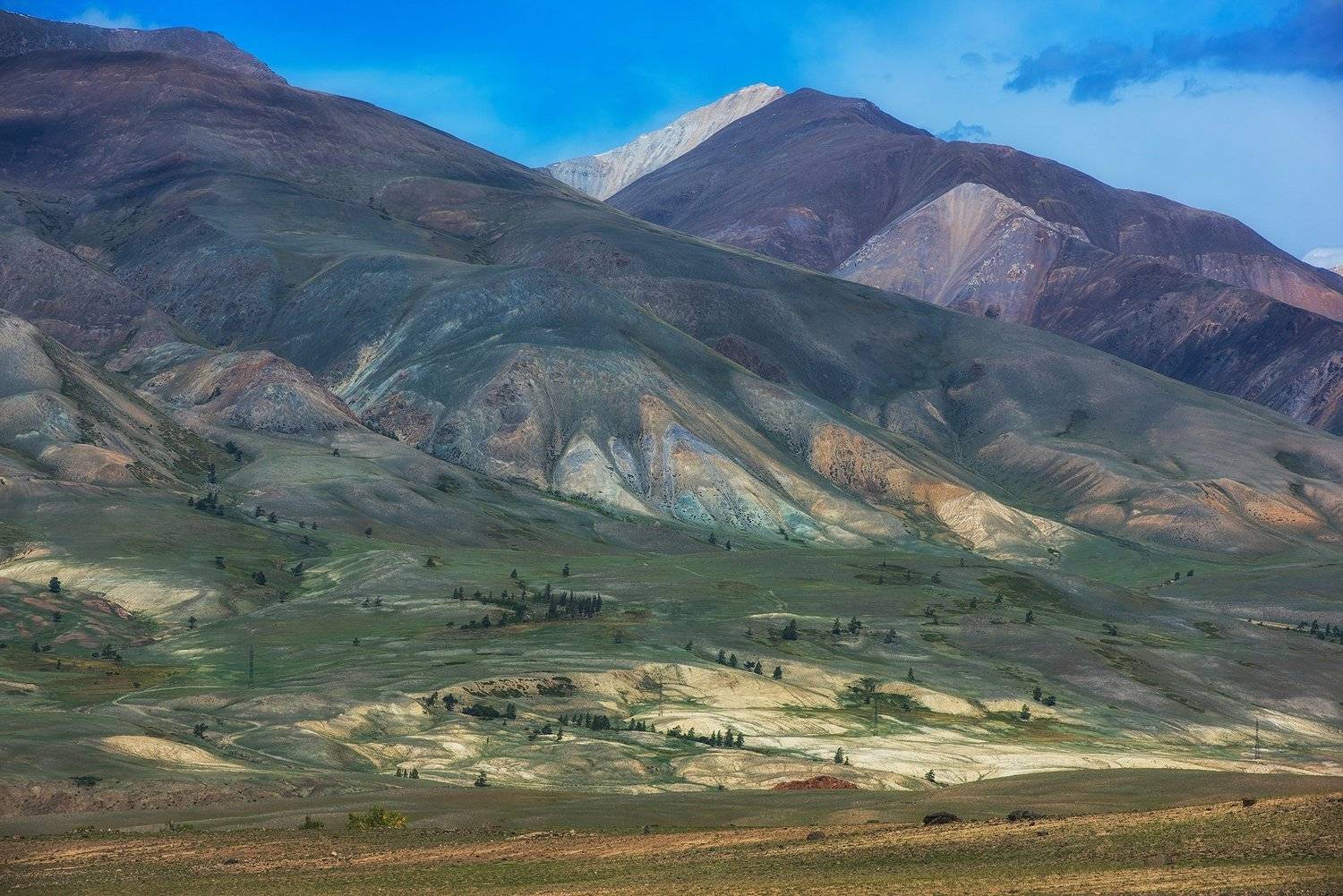 алтай, Руслан Олинчук