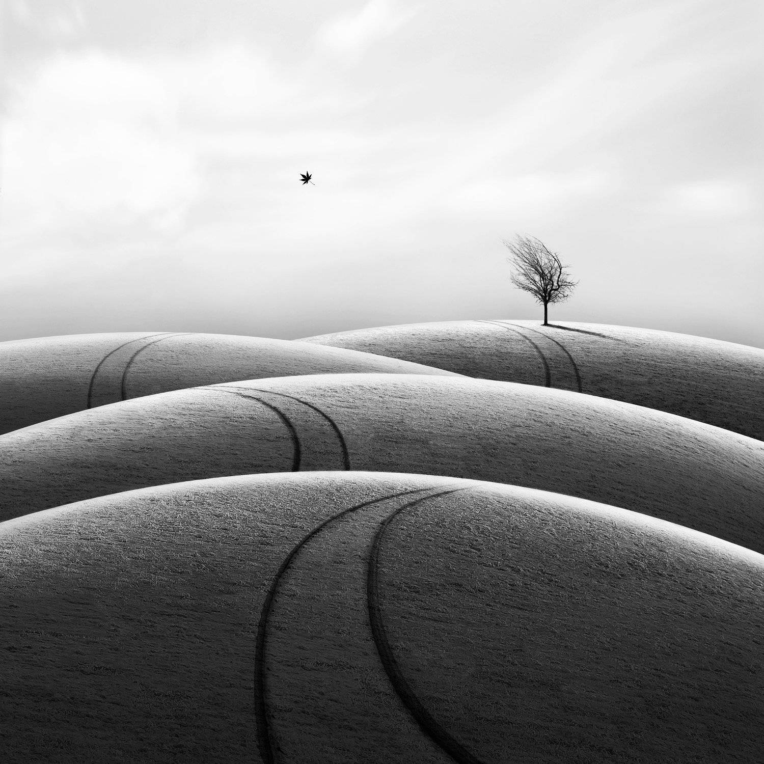 #35photo #surrealart#photoshop#ps_fantasy#art_minimal #bnw_dream #photography#minimalism#conceptual#fineart #instagram#ps_dreams#bnwminimalismmag#art_digital #ir_photographer#ir_aks#minimal#canon#blackandwhite#bnw#surreal#hadimalijani#art#fantastic_earth#, Hadi Malijani