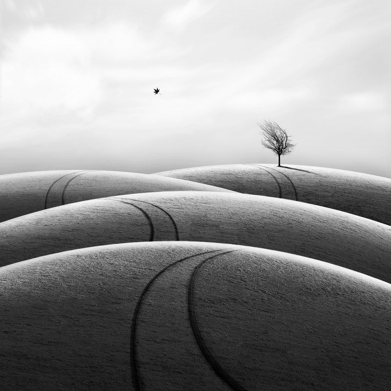 #35photo #surrealart#photoshop#ps_fantasy#art_minimal #bnw_dream #photography#minimalism#conceptual#fineart #instagram#ps_dreams#bnwminimalismmag#art_digital #ir_photographer#ir_aks#minimal#canon#blackandwhite#bnw#surreal#hadimalijani#art#fantastic_earth# Far away фото превью