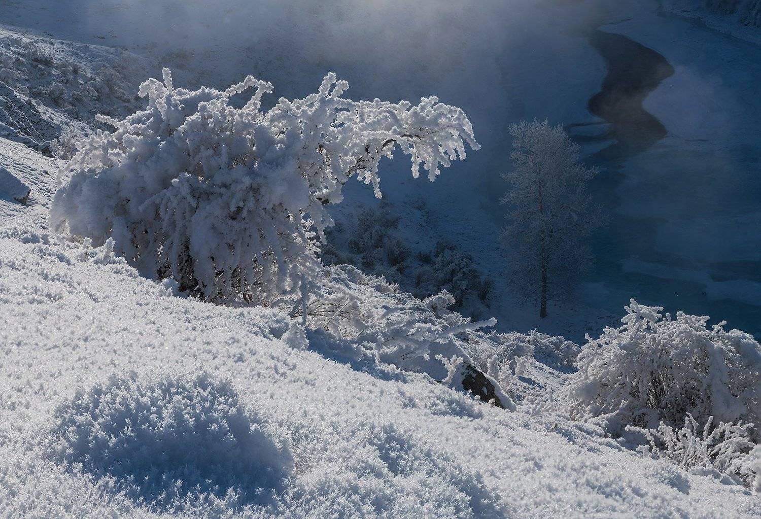 алтай, сибирь, иней, чуя, зима, стужа, январь, Павел Филатов
