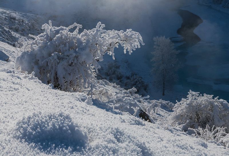 алтай, сибирь, иней, чуя, зима, стужа, январь Снежный крокодил фото превью