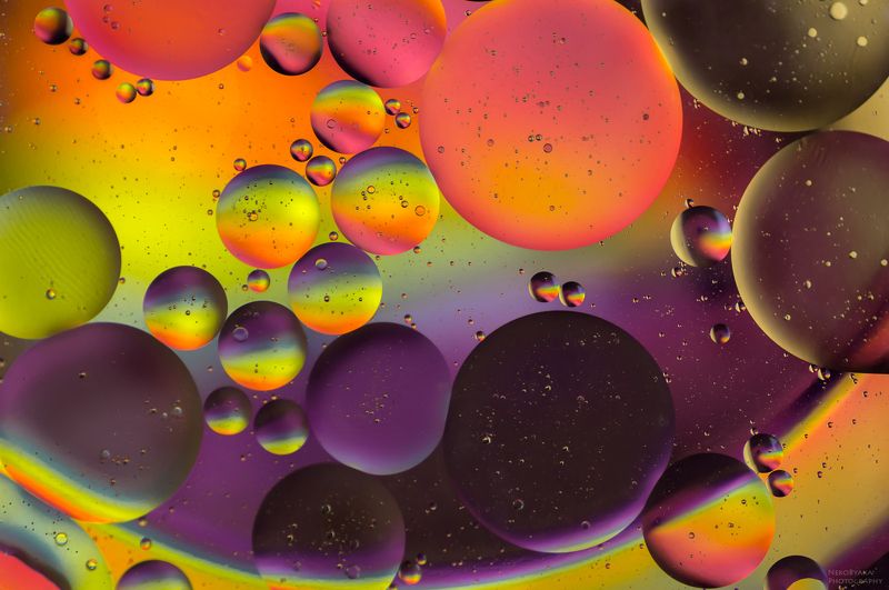макро, вода, масло, абстракция, радуга, капли, macro, water, oil, abstraction, rainbow, drops, радужный мир фото превью