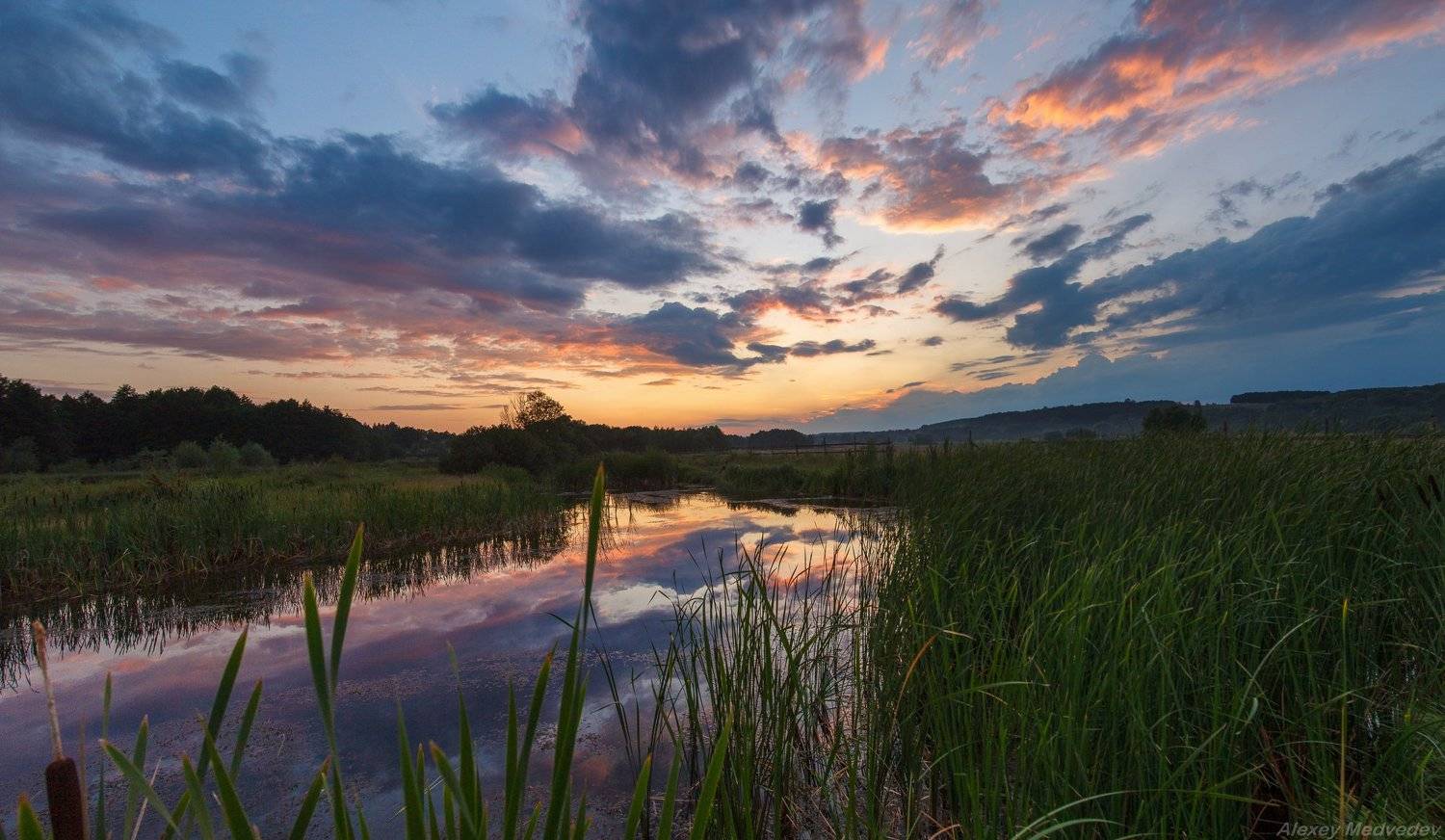  	закат, камыш, лето, Украина, Васильков, Стугна, озеро, река, Украина, васильків, vasilkiv, Алексей Медведев