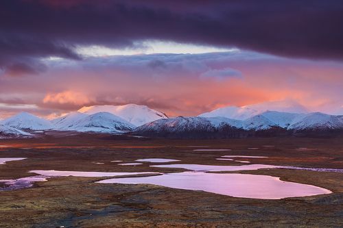 Отражения тундры