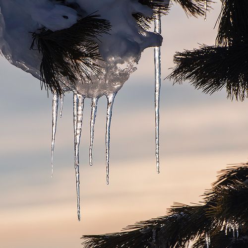 Pro зимние сосульки (1)