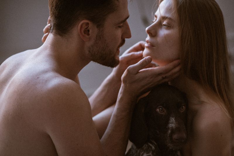 girl, man, portrait, woman, cute, stunning, great, девушка, портрет, женщина, мужчина, парень, любовь, love, love story, dog, собака heart to heart фото превью