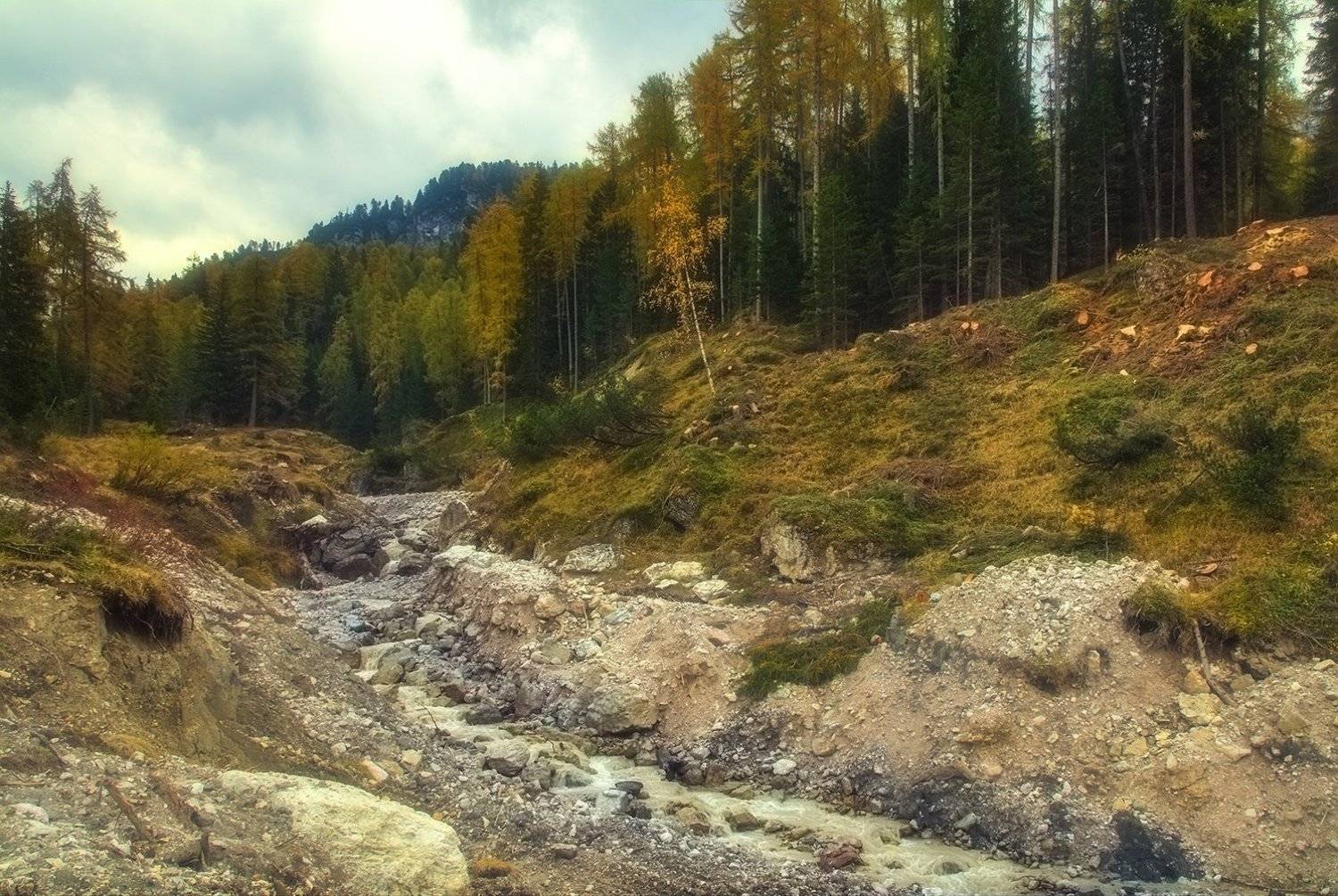 , Игорь Дубровский