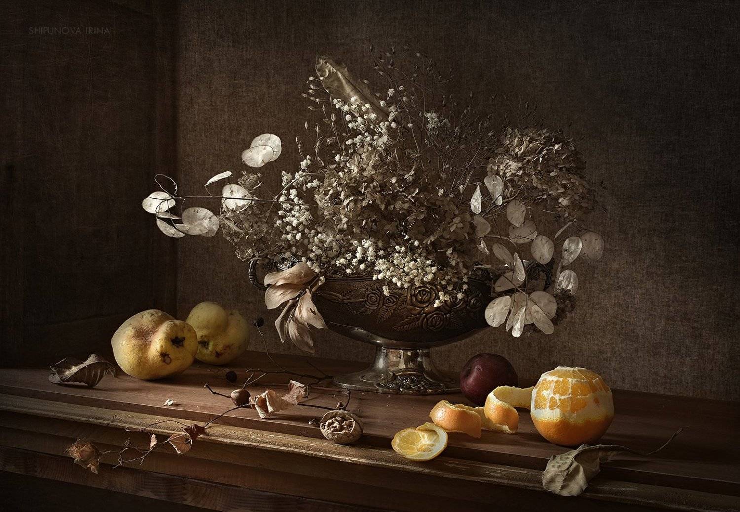 , Шипунова Ирина