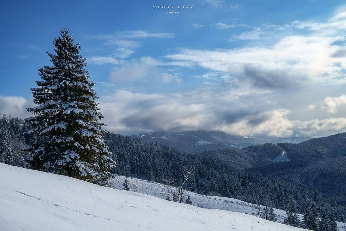 #landscape, #nature, #scenery, #forest, #wood, #autumn, #mist, #misty, #fog, #foggy, #river, #waterfall, #longexposure, #mountain, #vitosha, #bulgari, #aтуман, #лес, #oсень, Леонид Морозов