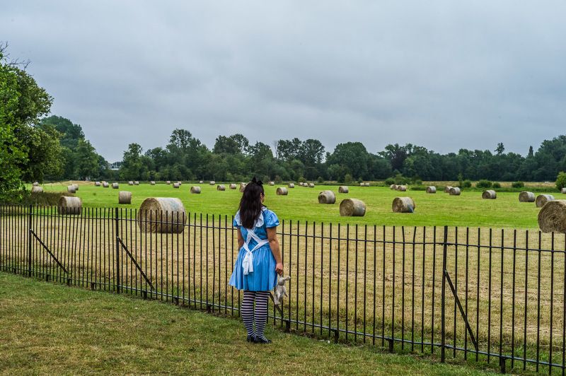 фото превью