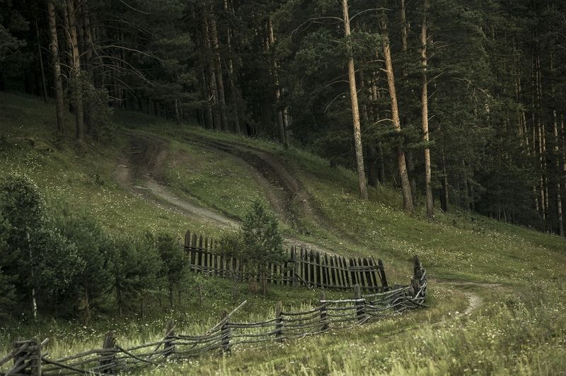 ... фото превью