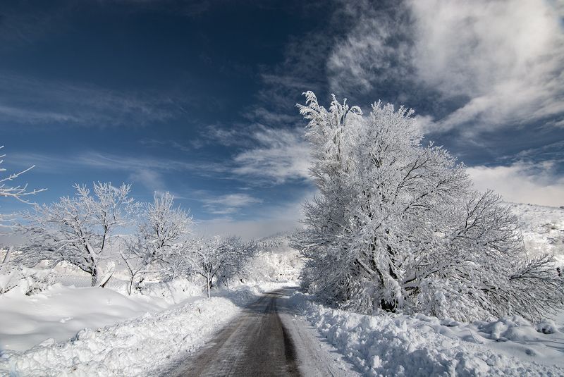 white фото превью