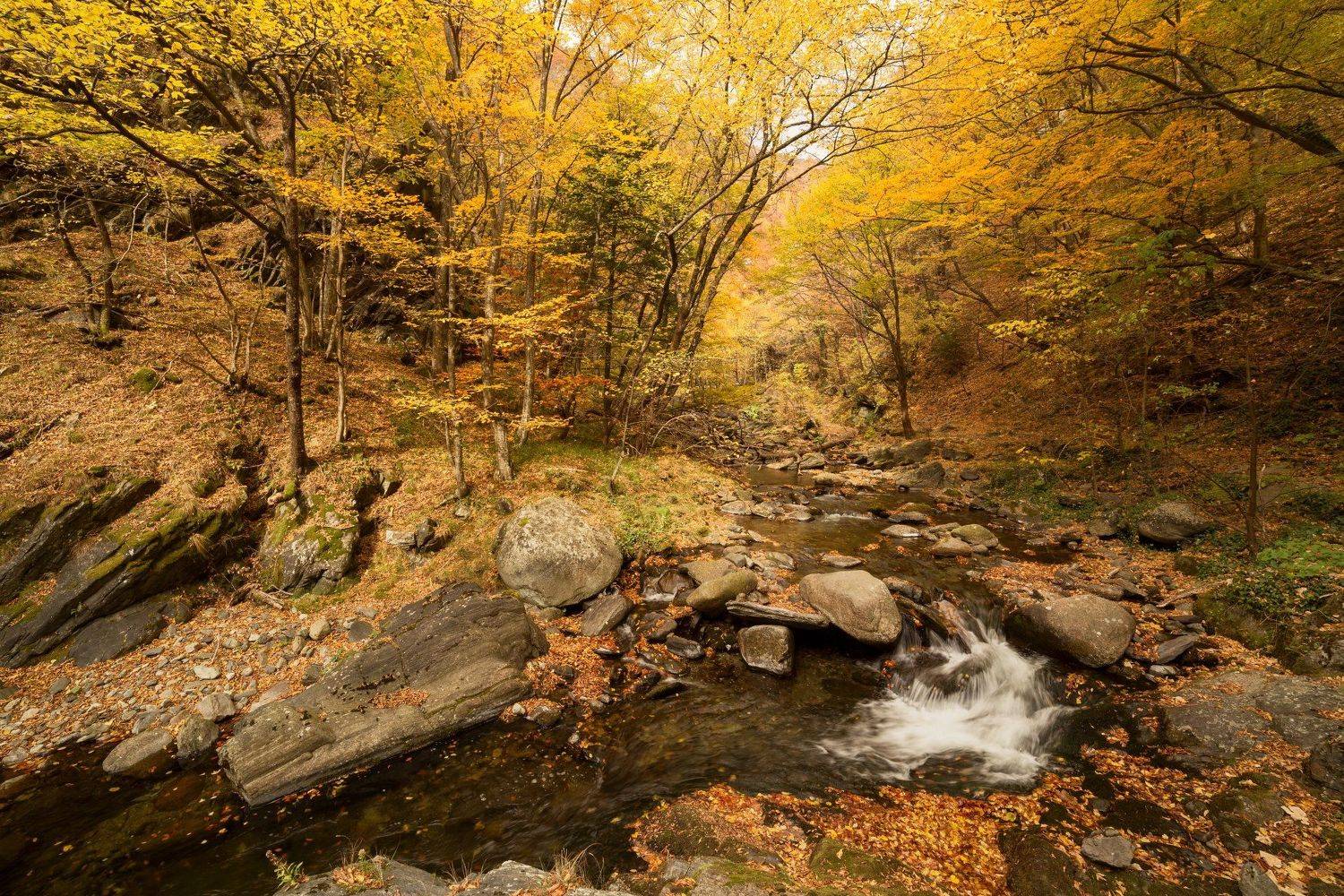 , Александър Сандев