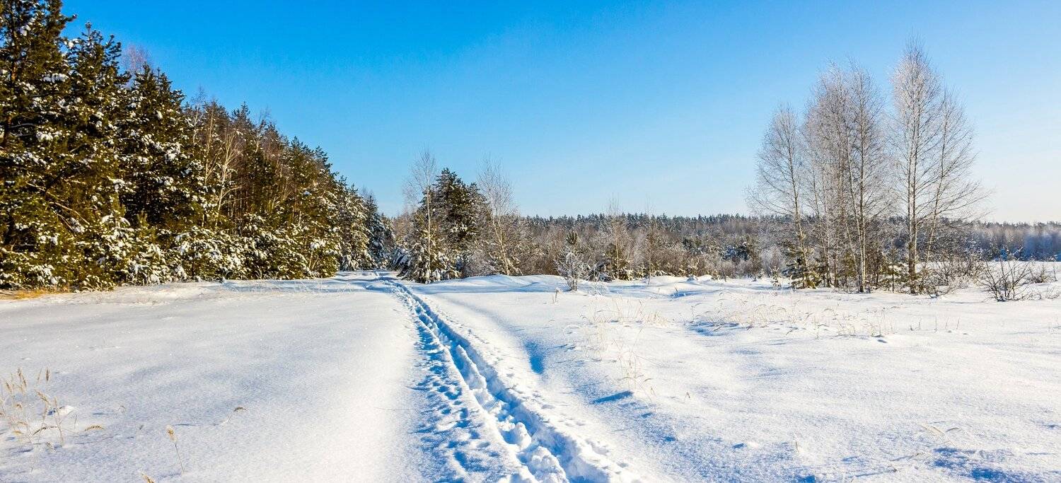 усмань, сосны, снег, рождество, мороз, лыжня, лес, иней, зима, заповедник, Руслан Востриков
