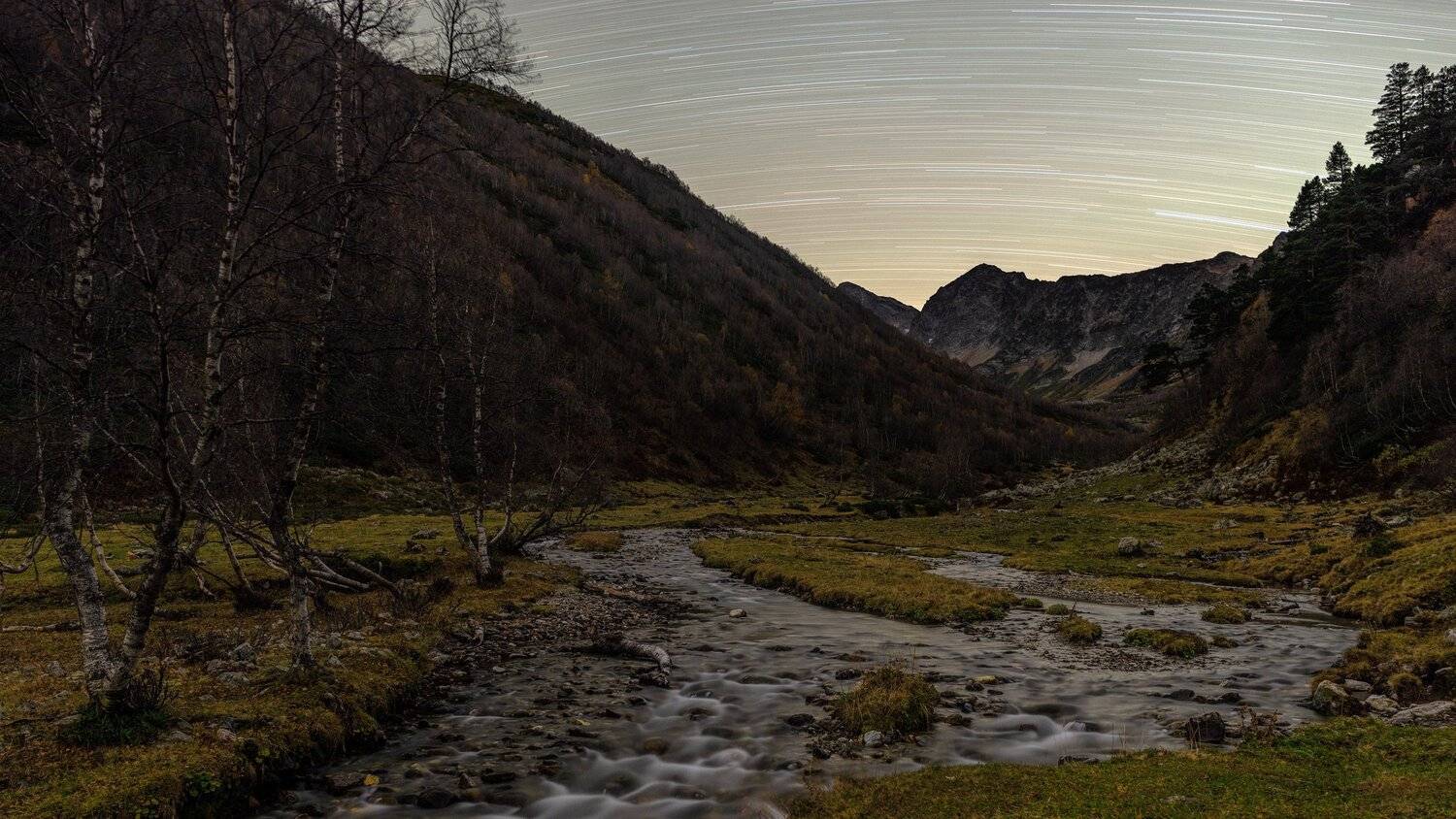 ночь без луны, Alexander Plekhanov