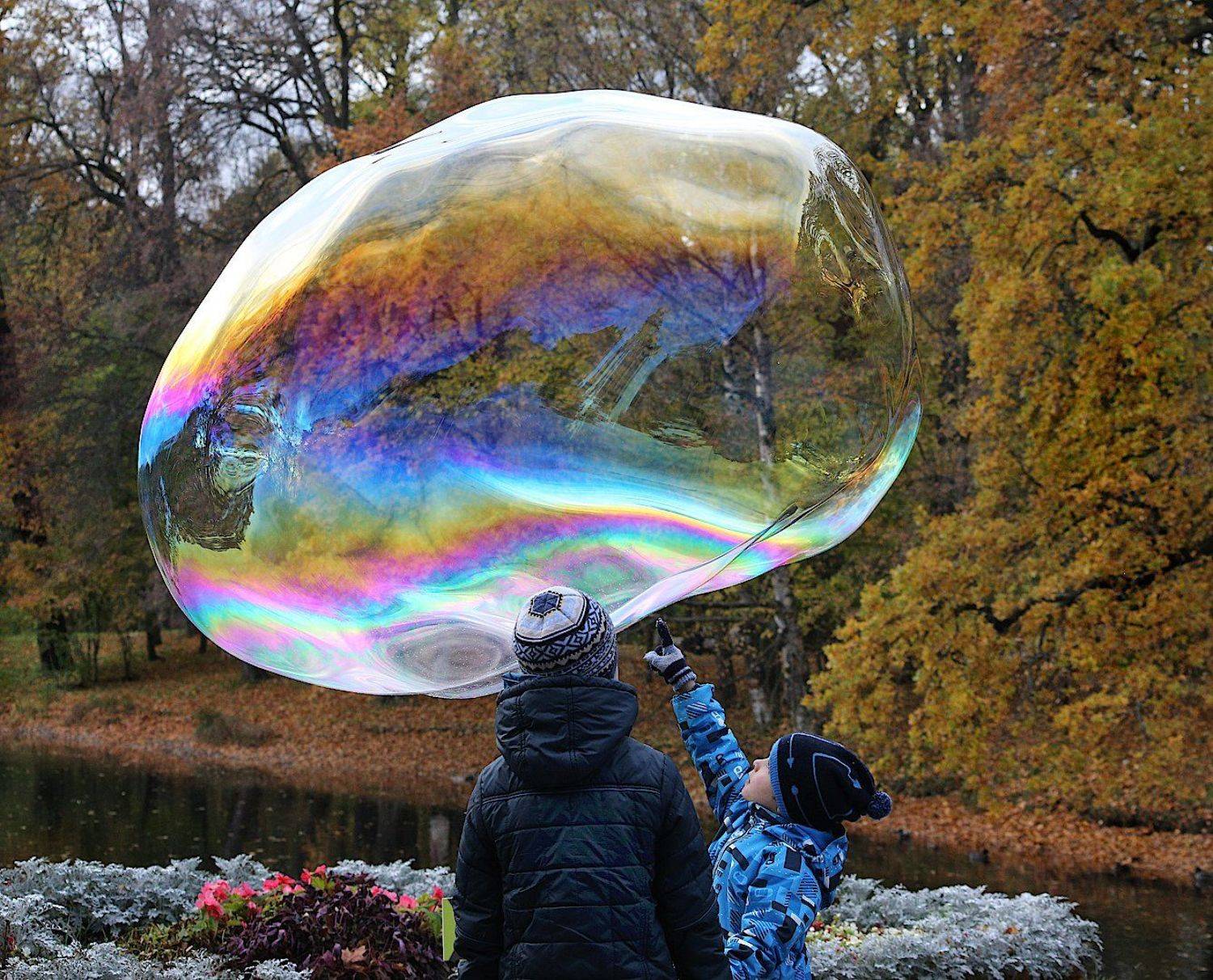 мыльный, пузырь, Александр Зорин