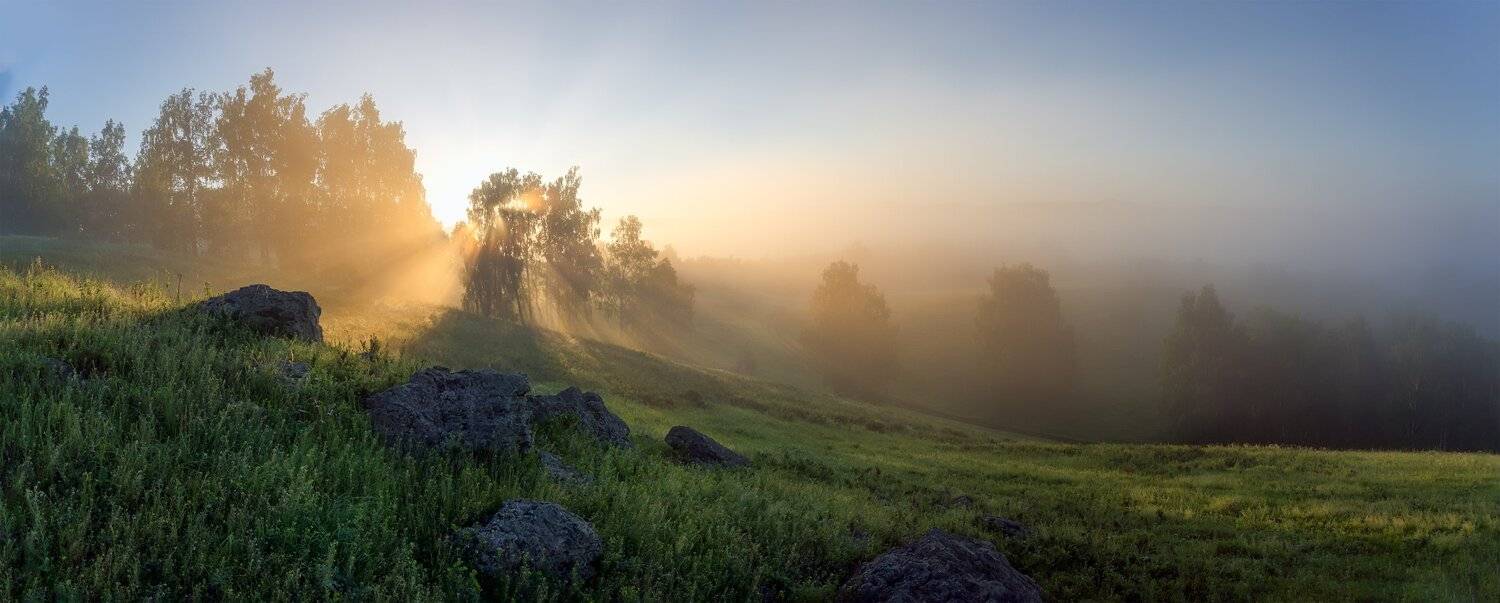 утро, рассвет, восход, туман, лучи, Леонид Максименко