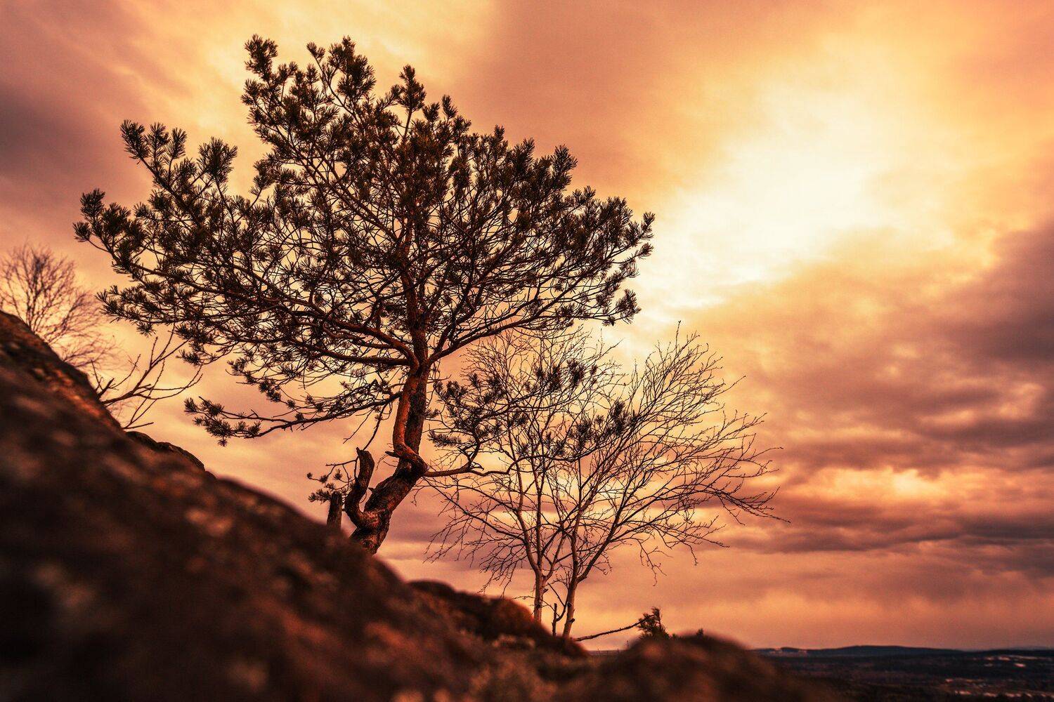 , Сергей Скоробогатов