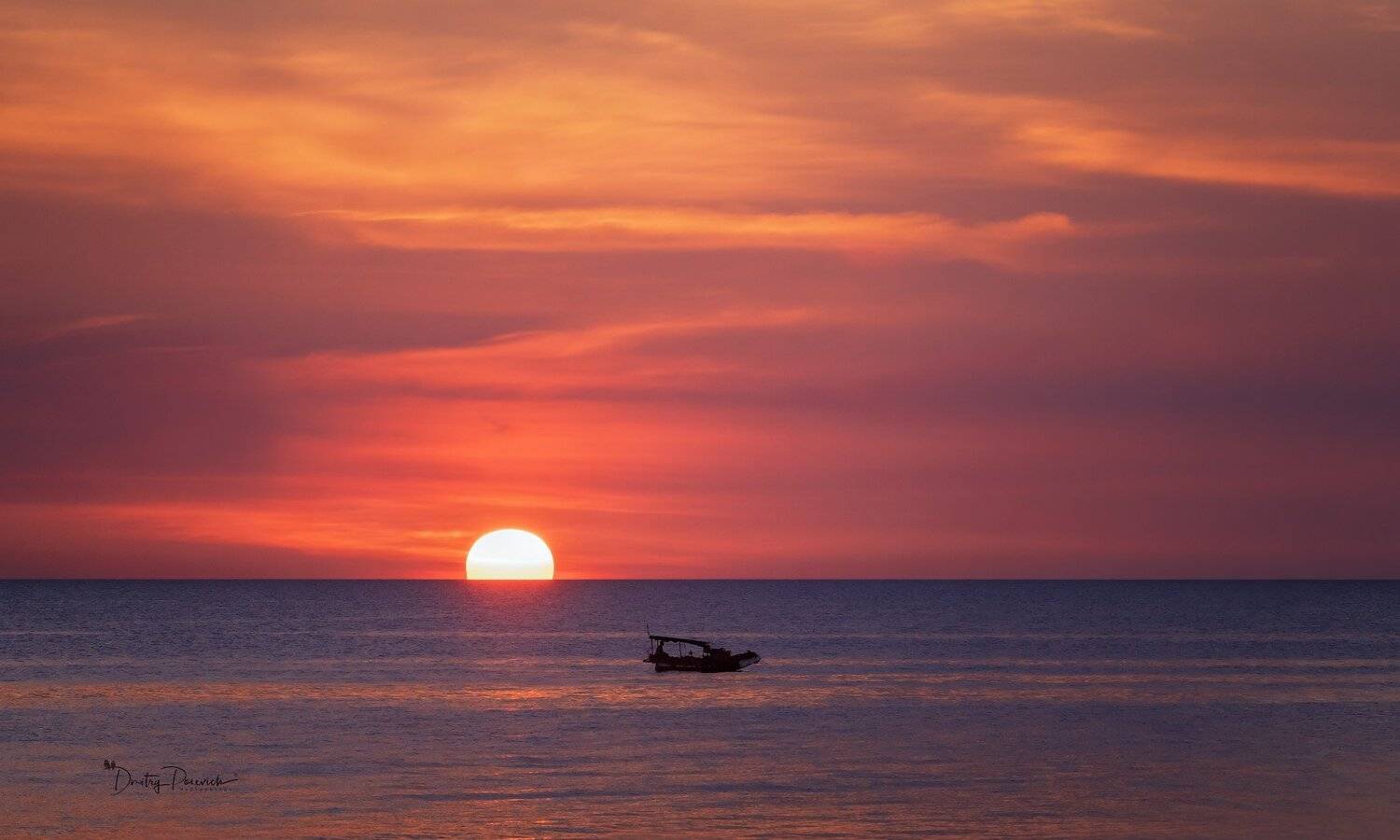 природа, животные, птицы, вьетнам, остров фукок, Дмитрий Посевич