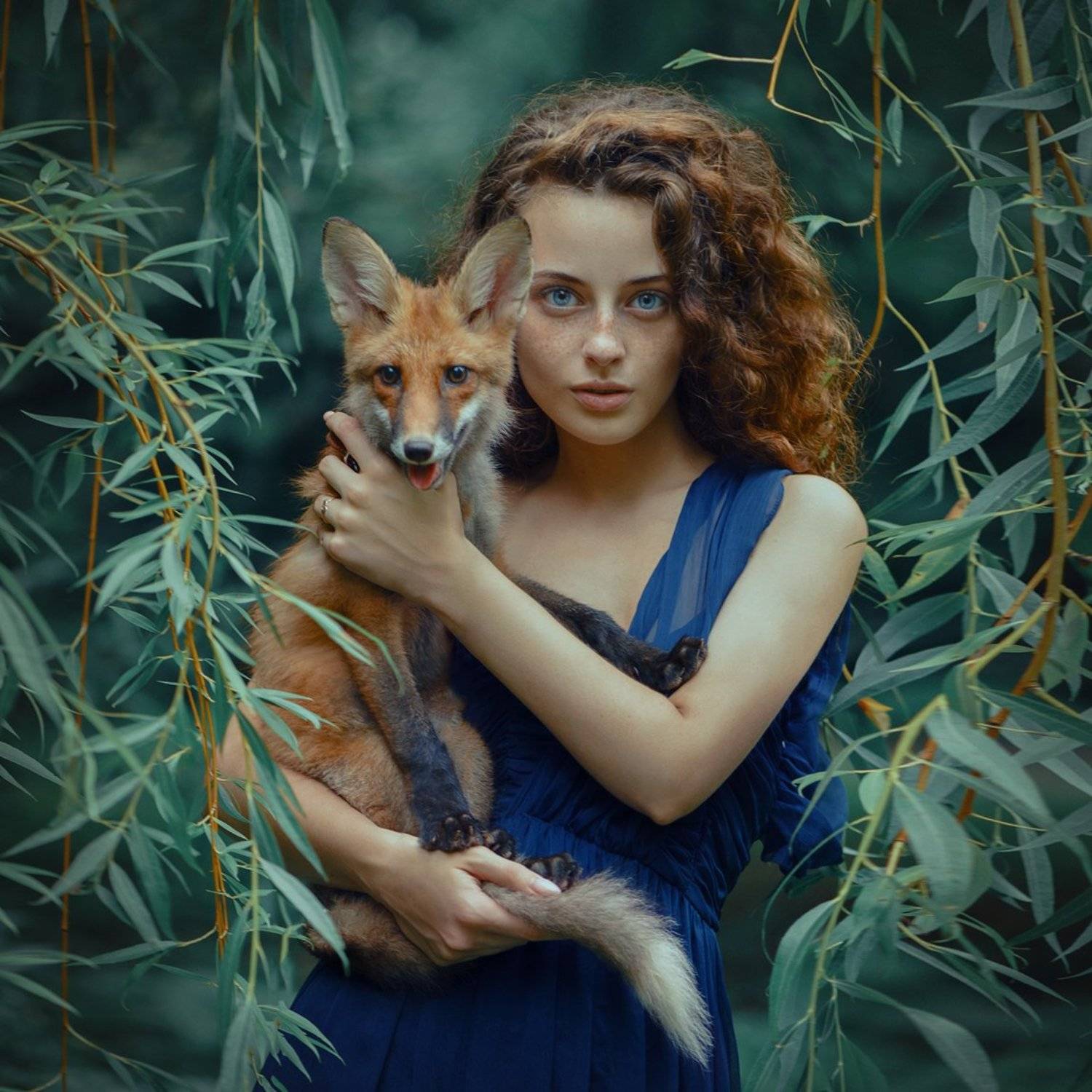 , Анастасия Добровольская