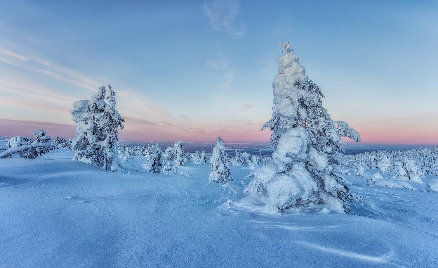 снег, горы, ели, кандалакша., Владимир Липецких