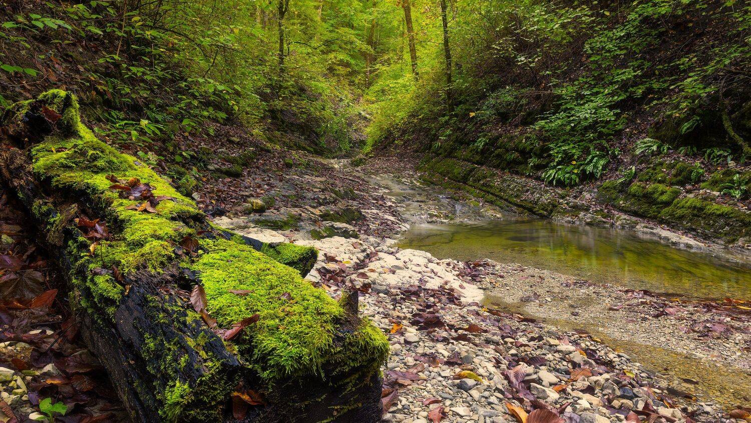 , Alexander Plekhanov