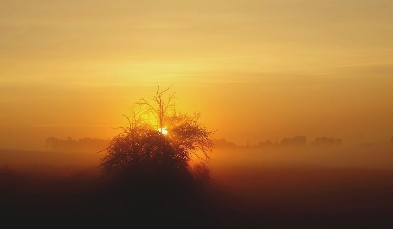 когда проснется день фото превью