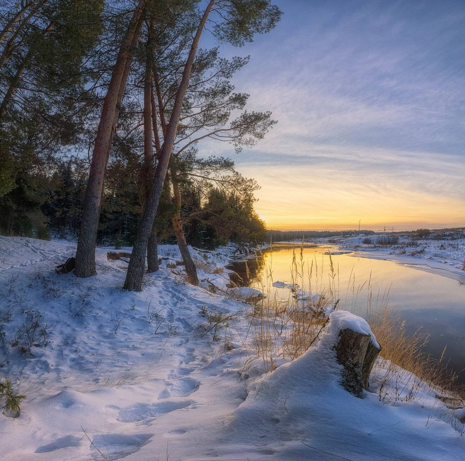 , Устюжанин Михаил