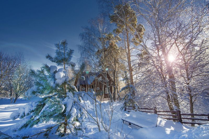 Зимняя прогулка или февраль в подмосковье... фото превью