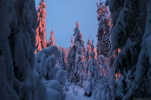 Брызнуло сумеречным красным