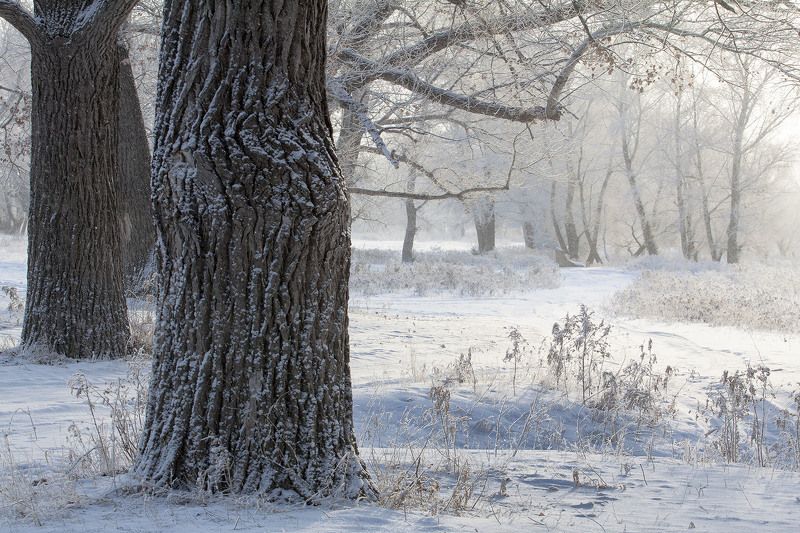 Зима фото превью