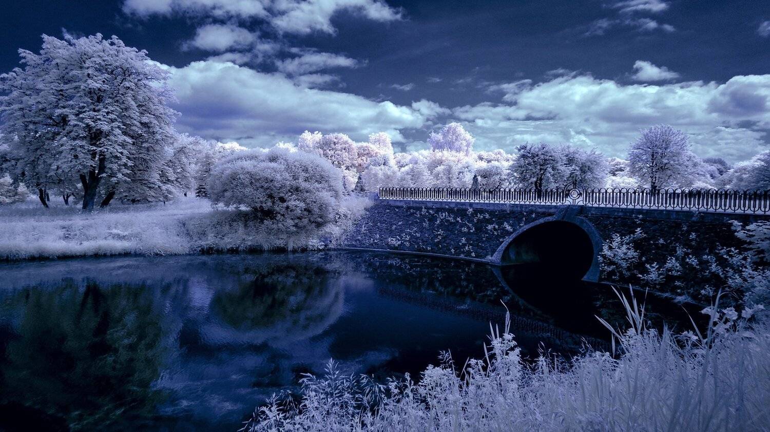 infrared,ик-фото,инфракрасное фото, инфракрасная фотография, пейзаж, лето, беларусь, минск, Sixten ( Сергей )