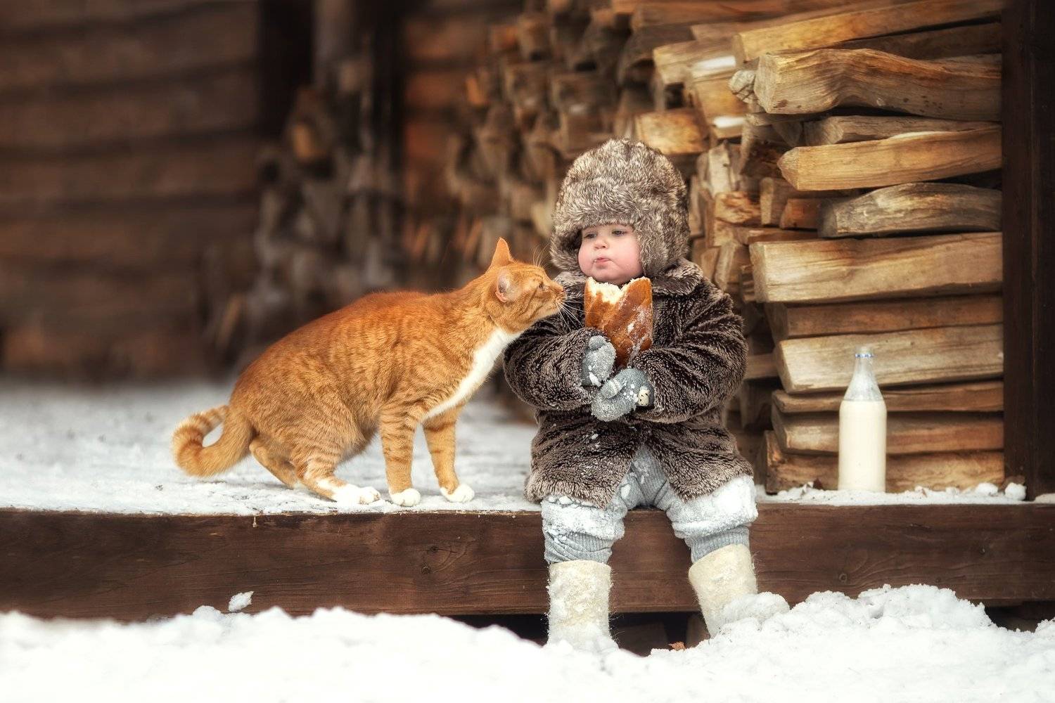 кот, Марина Порунова