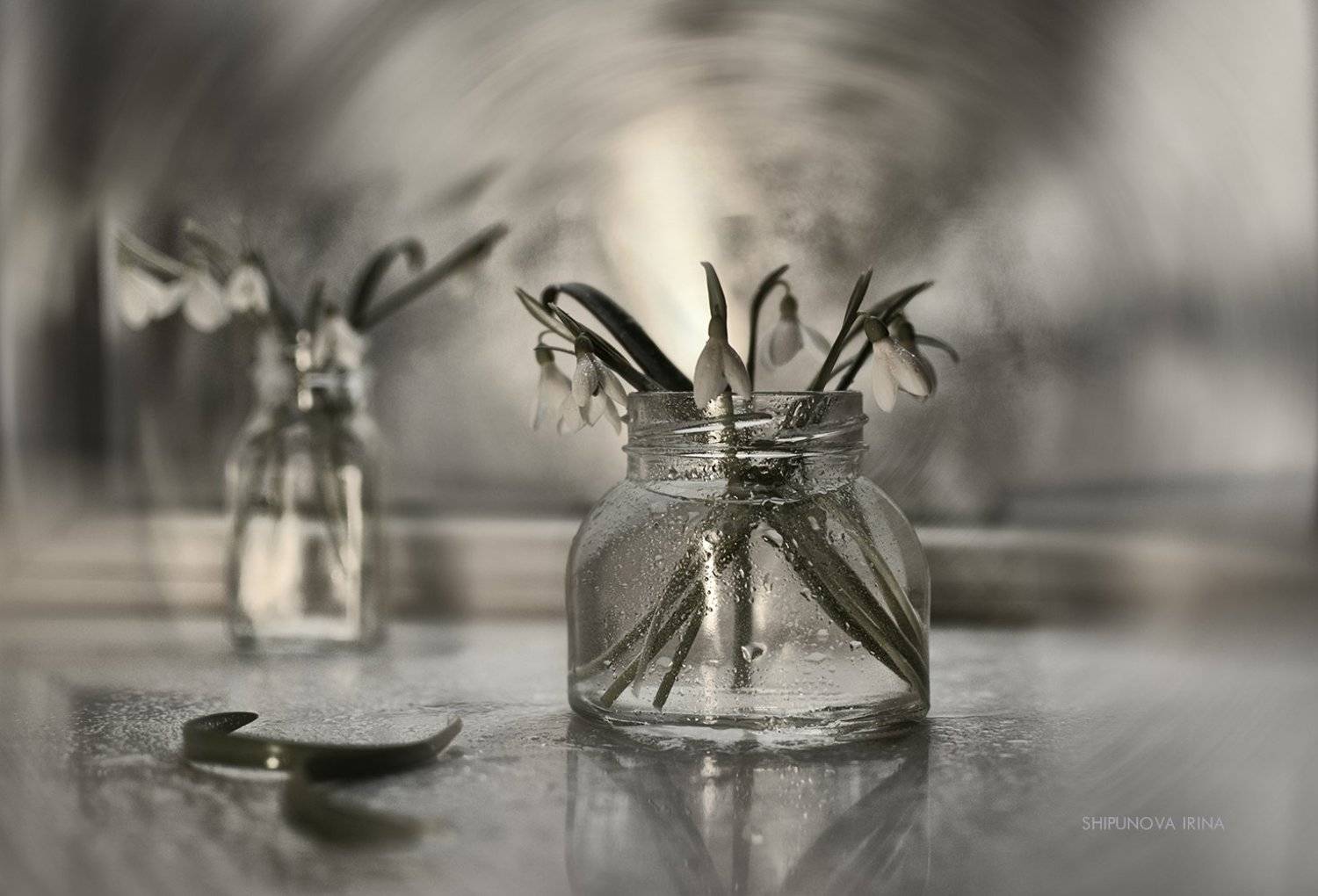 , Шипунова Ирина