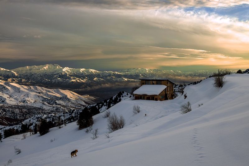 Вечер на станции Дукент фото превью