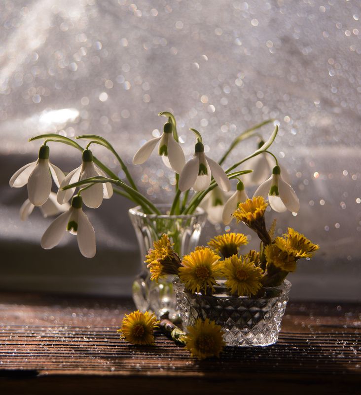 Мать и мачеха... фото превью