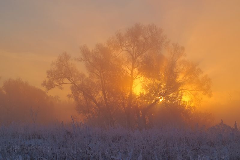 Explosive sunrise. фото превью